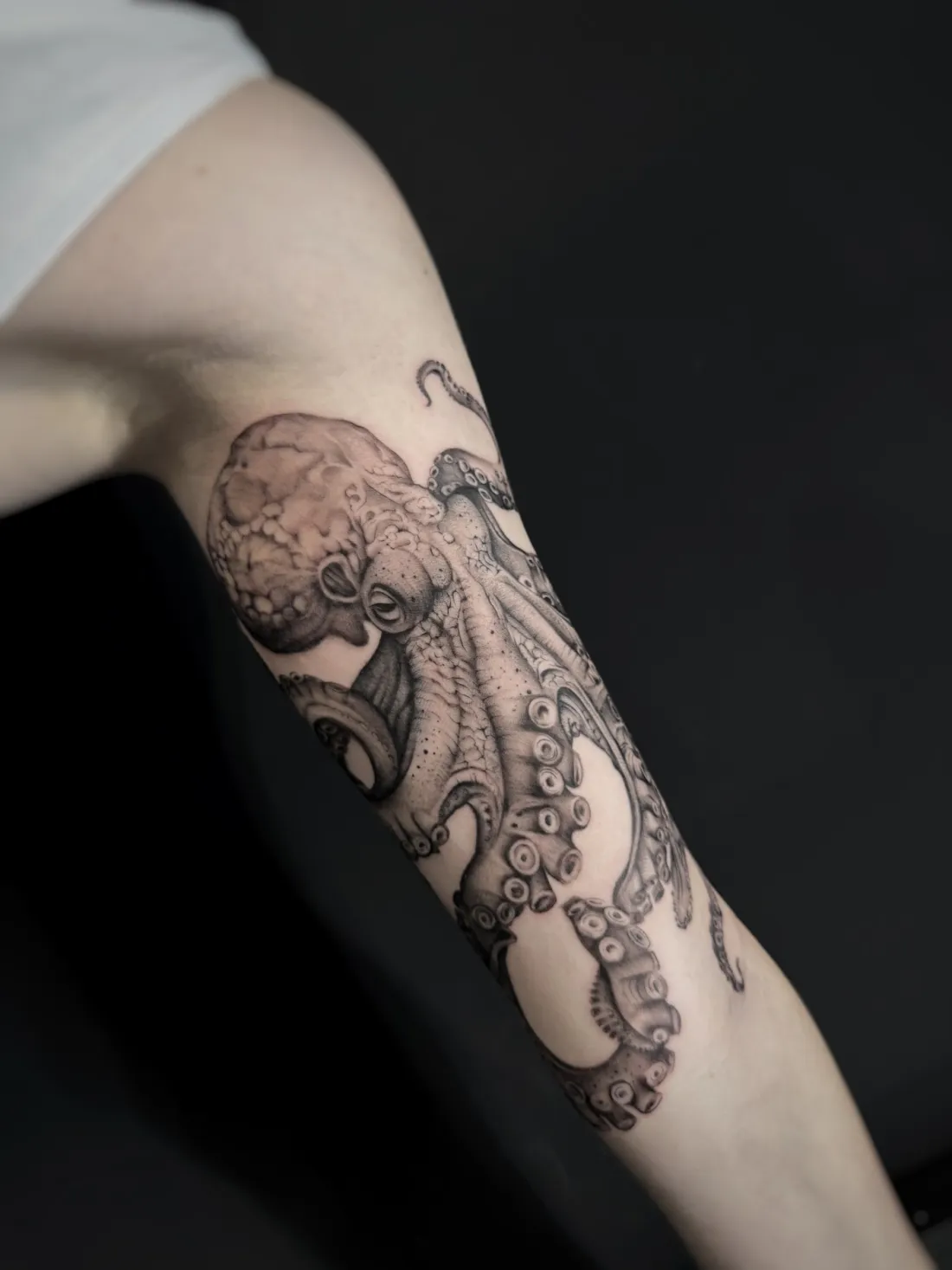 Oktopus am Oberarm — Realismus Tattoo von Alexander